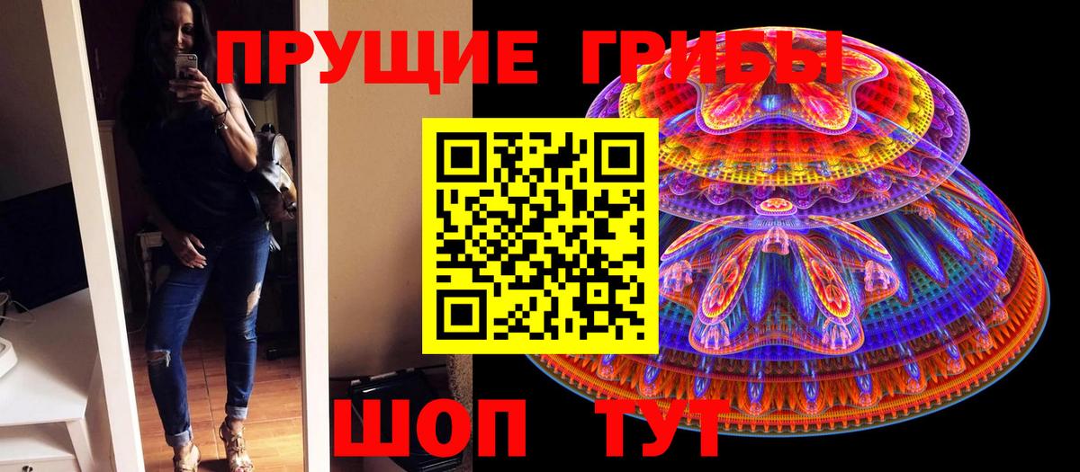 Иркутск  Галлюциногенные грибы мицелий  Галлюциногенные грибы Psilocybe  Вход с VPN 