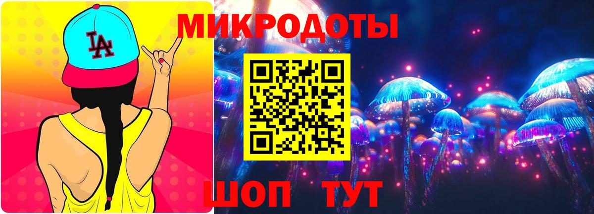 Галлюциногенные грибы Psilocybine cubensis Иркутск